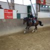 Ponyralley 082